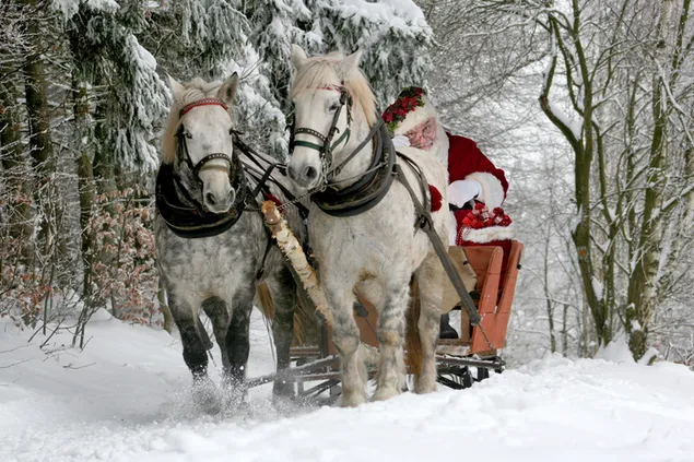 Weihnachtsmann auf Pferd