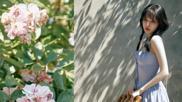 red velvet De  wendy Wei [wish you hell] Zhuan Ji Pai She Xia Zai