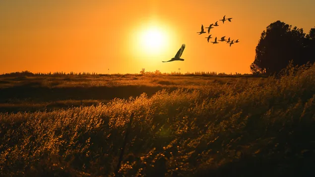 koli nashe sertse kislo, mi letimo z nim. zavantazhiti