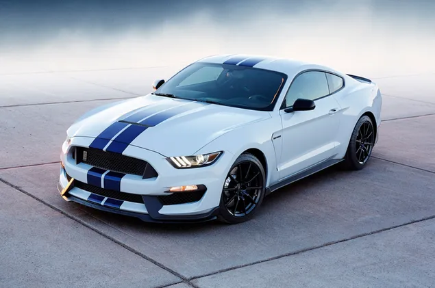 White and blue Ford Mustang GT