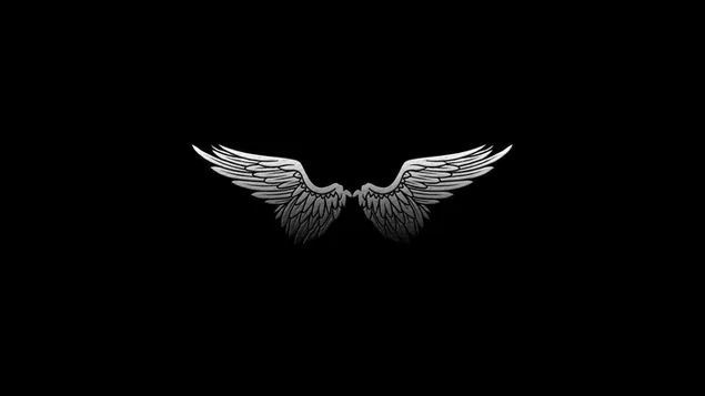 White angel wing on black background download