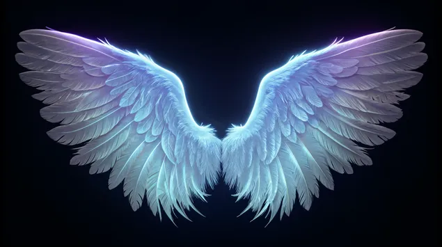 weisse engelsflugel auf schwarzem hintergrund herunterladen