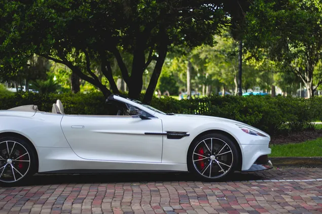 Baltas „Aston Martin“ kabrioletas, pastatytas šalia medžių 4K ekrano užsklanda