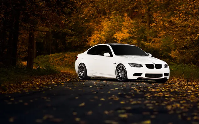 Witte BMW M3 in het bos in de herfst download