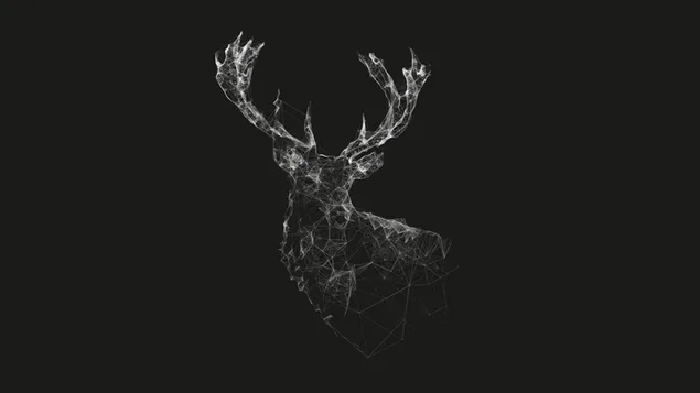 Bosquejo de ciervo blanco, geometría digital de ciervo gris 4K fondo de pantalla