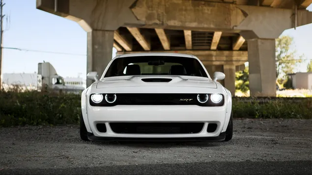 White Dodge Challenger HD muurpapier