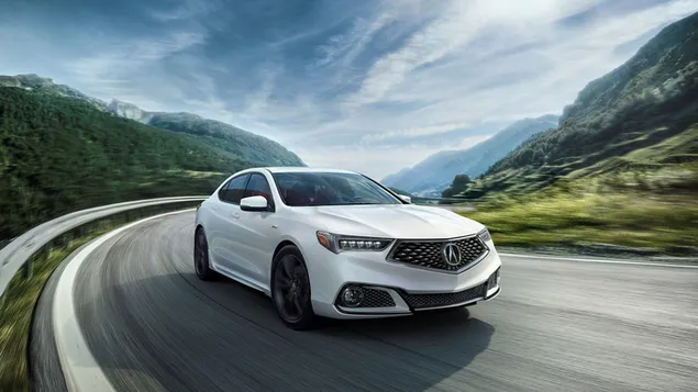 Hvit i Acura TLX på vei HD bakgrunn