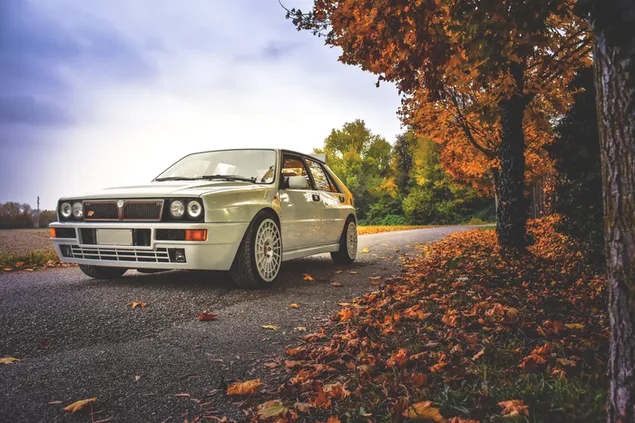 White Lancia Delta Martin 5 vào mùa thu tải xuống