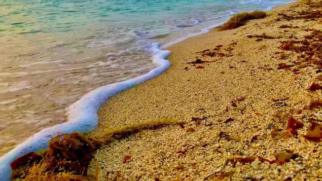 White Sand Seashore  4K wallpaper