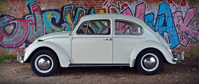 Volkswagen Beetle blanco estacionado al lado de la pared
