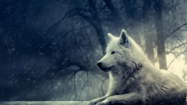 White wolf download