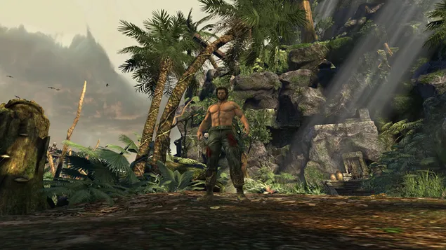 Qui vol més? 4K fons de pantalla