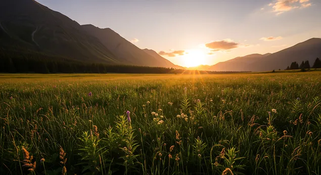 prkhy br v`shb gbvh zvhrym bqrny hzhb hrshvnvt shl hzrykhh, nmtkhym `l pny `mq shlyv mtkht ltsllyvt hrym mlkvtyvt. hvrd