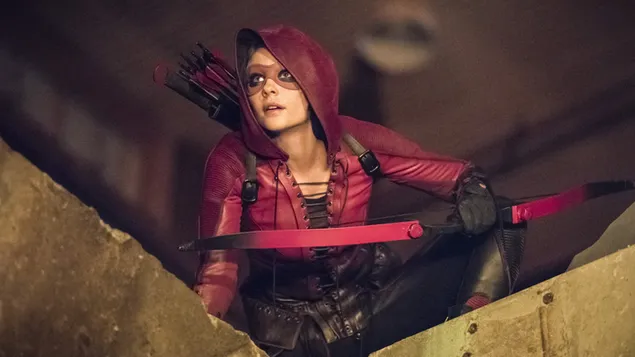 willa hollend herunterladen