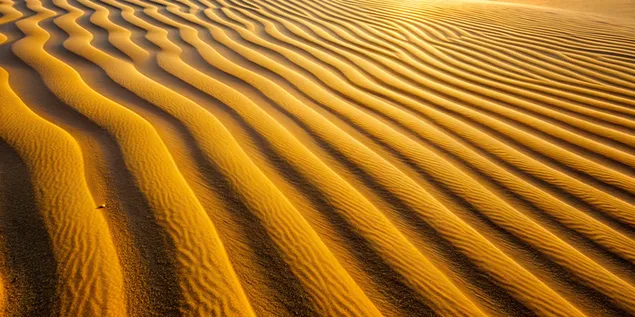 金色沙漠景观中风雕般的沙纹图案 4K 壁纸