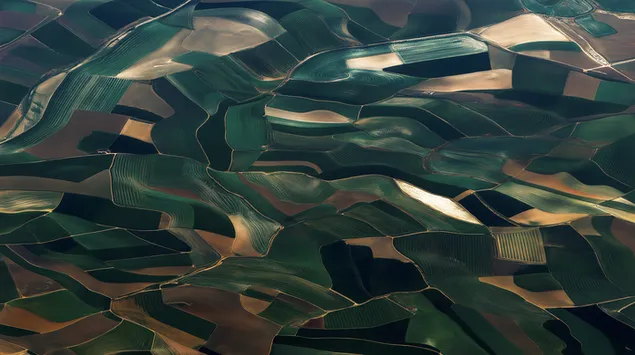 ylhaalta pain kuvattu mutkitteleva maatalouspeltokuvio lataa