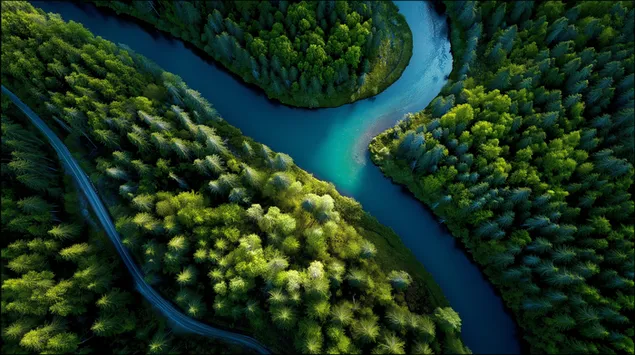Шпалери Звивиста річка крізь густий ліс з високої точки зору 2K