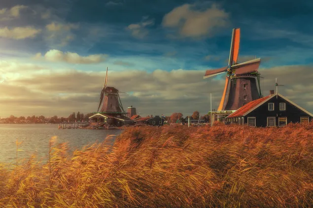 Windmolens - nederland