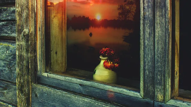 Window view 