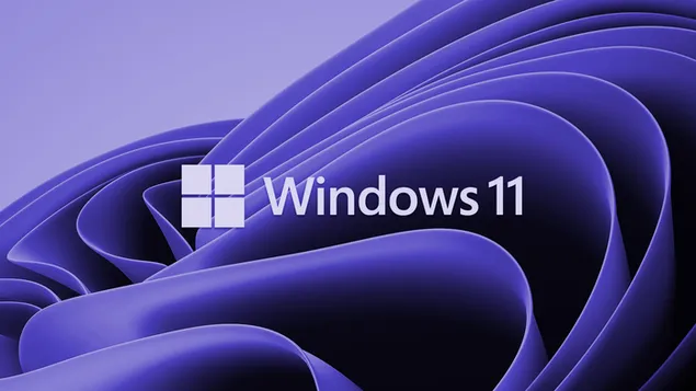 Windows 11 - 背景