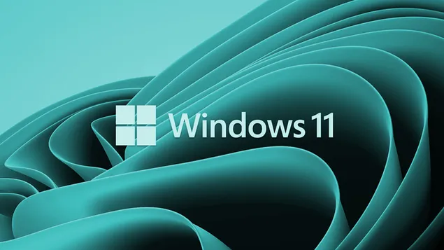Windows 11 (de fons) baixada