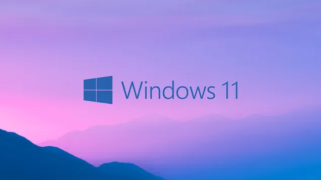 Windows 11 - 背景