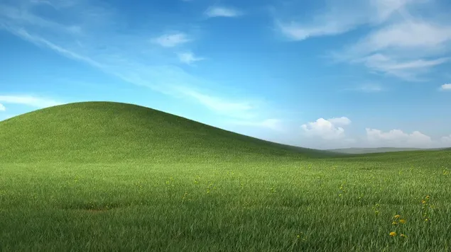 Windows 11 bliss-achtergrond 4K achtergrond
