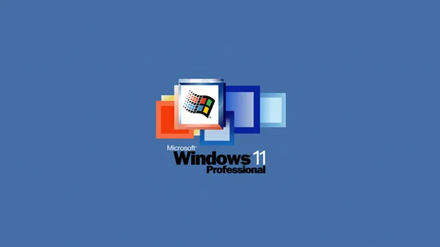 Windows 11 Professional 2K wallpaper