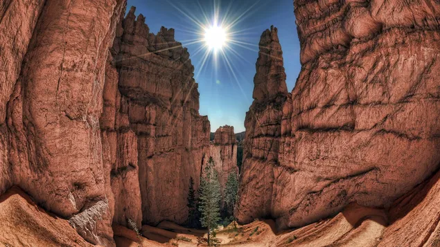 Windows 11 Thema Desktop Hannergrond HD Tapeten