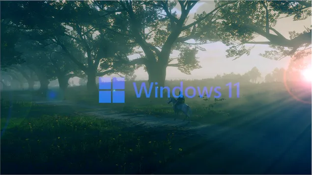 Windows 11 X RDR herunterladen