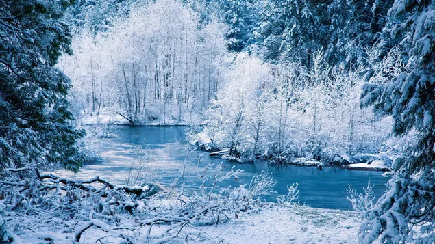 Mùa đông và sông tải xuống