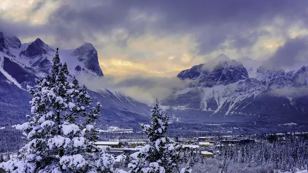 Invierno en el parque nacional de banff - alberta, canadá HD fondo de pantalla