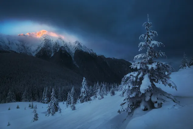 Winter im Berg - Nacht