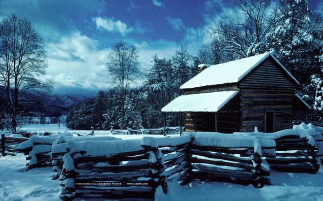 Vinter i Tennessee HD tapet