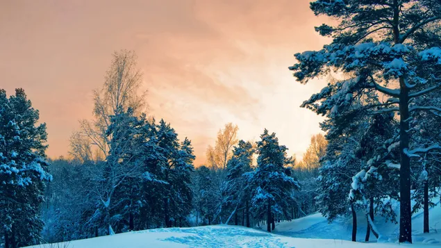 Vista del paisaje de invierno 4K fondo de pantalla