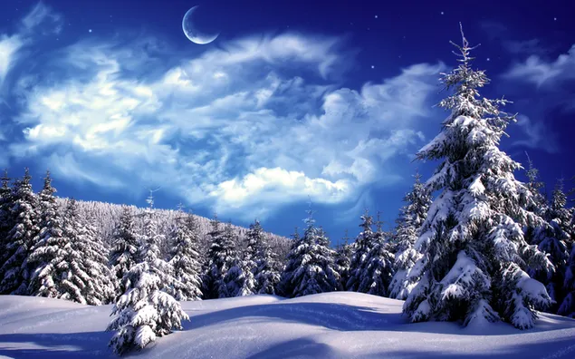 Winterlandschaft HD Hintergrundbild