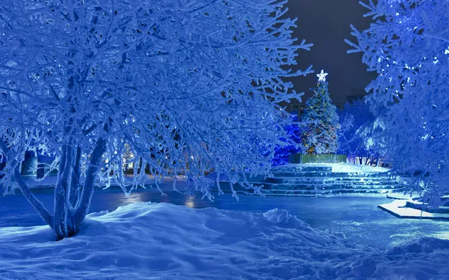 Malam Musim Dingin di waktu Natal HD wallpaper