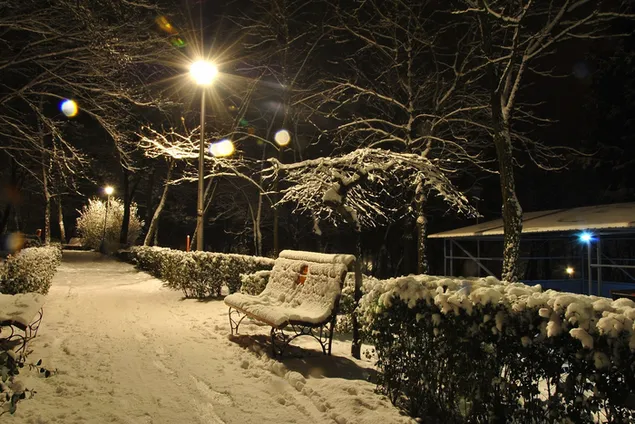 Зимска ноќ во паркот HD тапет