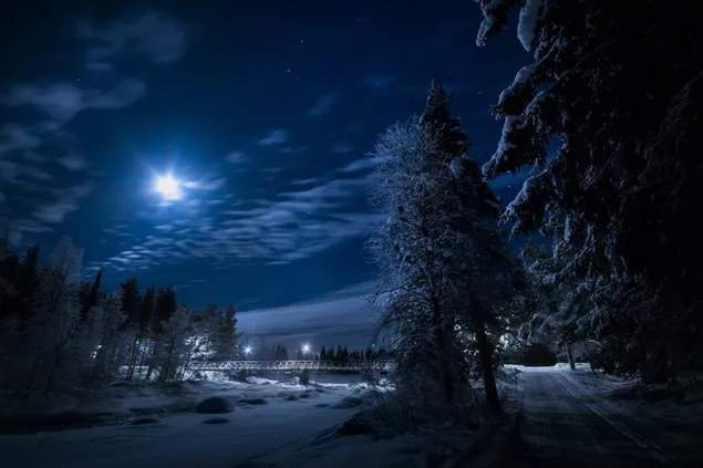 Noche de invierno HD fondo de pantalla