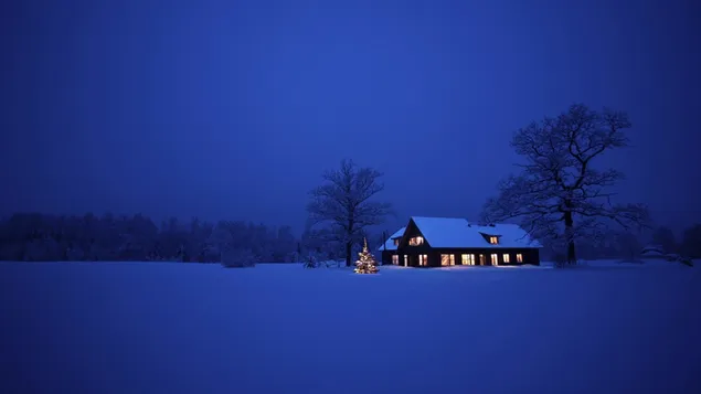 Winter op kersttijd HD achtergrond