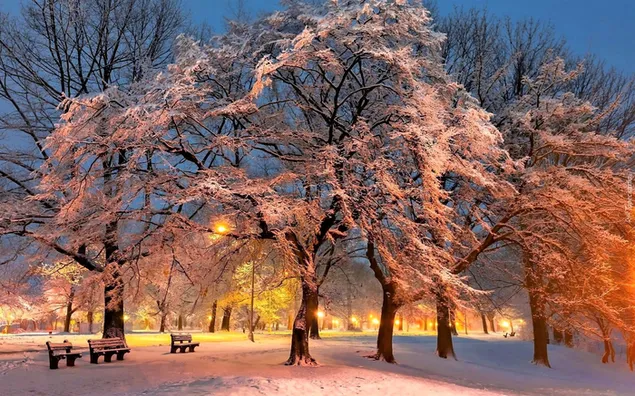 Taman musim dingin di malam hari