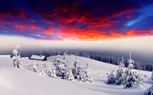 Fotografía de invierno - cielo rojo HD fondo de pantalla