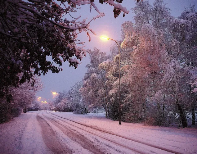 夕暮れの冬の道 HD 壁紙