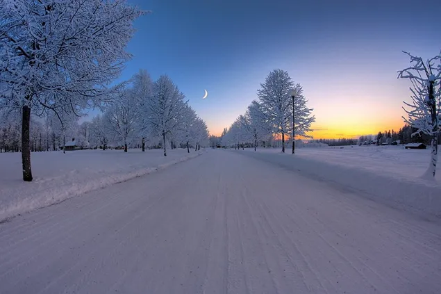 Jalan musim dingin di bawah bulan sabit yang indah HD wallpaper