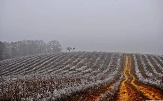 paisaje de la temporada de invierno 4K fondo de pantalla