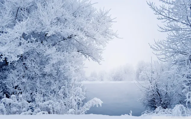 Temporada de invierno HD fondo de pantalla