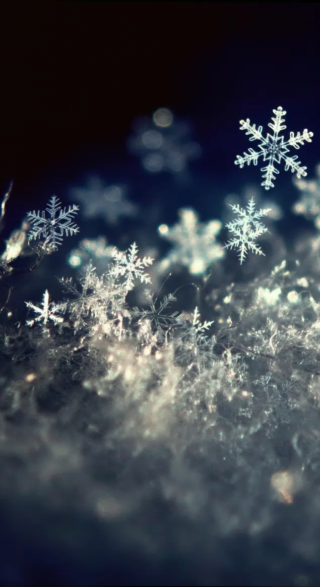 Kış kar taneleri yakın çekim HD duvar kağıdı