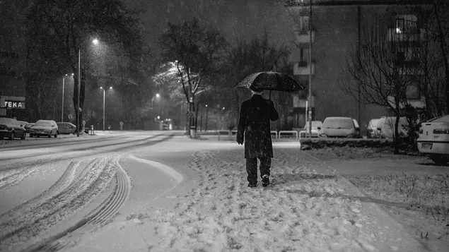 夜の冬散歩 HD 壁紙