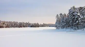 zimnyaya skazka skachat'