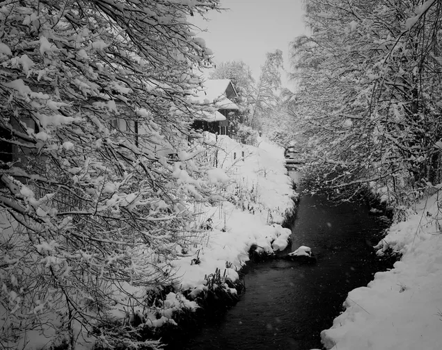Winter Wonderland - An der Schönach en Schwabbruck descargar